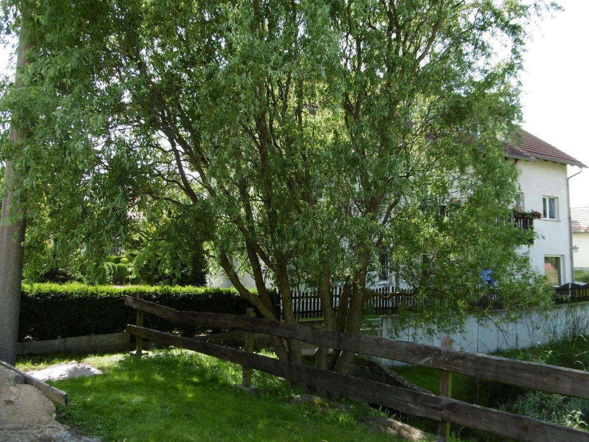 Hochkirch Hotel & Pension Assmann מראה חיצוני תמונה