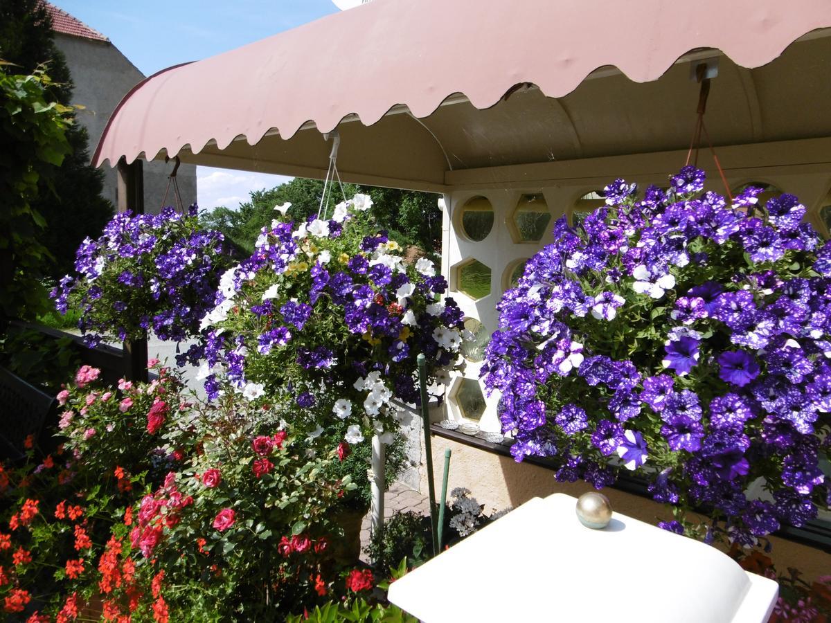 Hochkirch Hotel & Pension Assmann מראה חיצוני תמונה